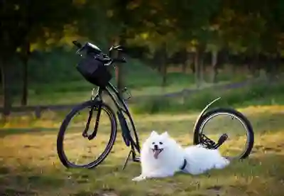 알씨로 돌잔치 셀프 성장 동영상 만드는 꿀팁