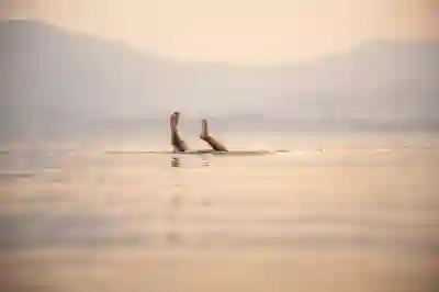 라인 플레이 알림 끄는 4가지 방법 알아보자