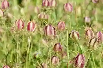 포토샵으로 특정 부분 색상 변경하는 3가지 방법 알아보자