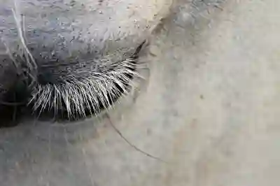 포토샵으로 얼굴 보정하는 꿀팁 4가지 알아보자