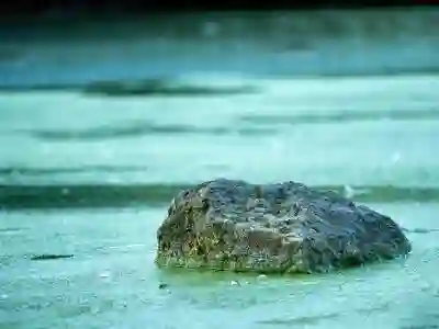 포토스케이프 무료 다운로드 및 설치 방법 알아보자