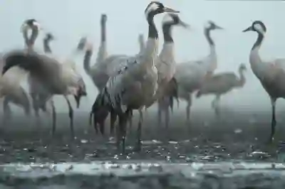 포토스케이프X로 사진에 일괄 워터마크 넣는 방법 살펴보기