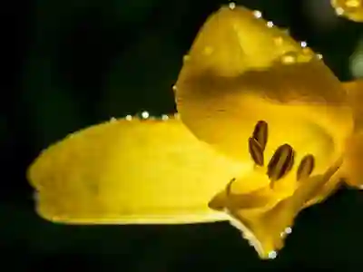 속초시 난방비 지원금 신청 방법 알아보자