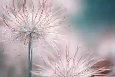 여주시 설날 명절지원금 신청방법과 대상자 알아보자