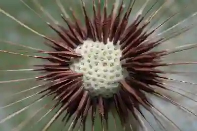 전남 고흥군 난방비 지원금 신청 방법과 꿀팁 알아보자