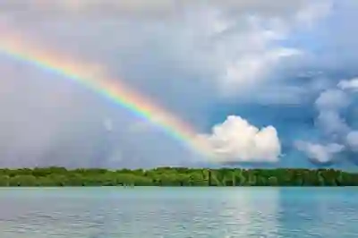 충남 서천군 대상포진 무료접종 신청 방법과 대상자 알아보자