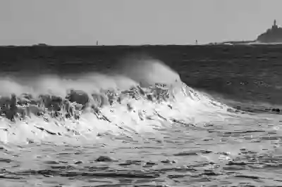 속초시 테슬라 모델3 보조금과 실구매가 살펴보기