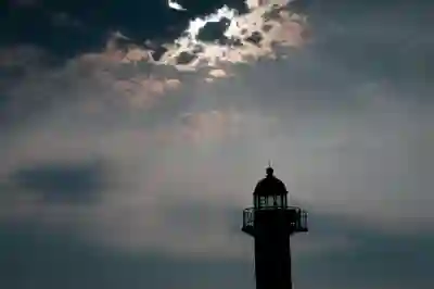강원 양구군 테슬라 모델3 보조금과 실구매가 알아보자