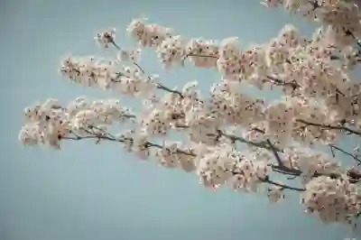 인제군 민생지원금 4차 지급 계획 알아보자