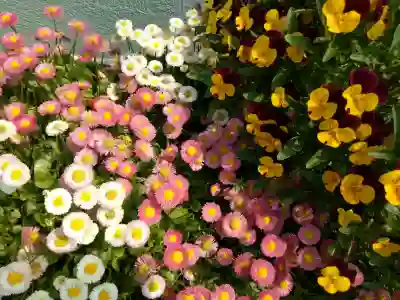 강원 홍천군 테슬라 모델3 보조금과 실구매가 알아보자