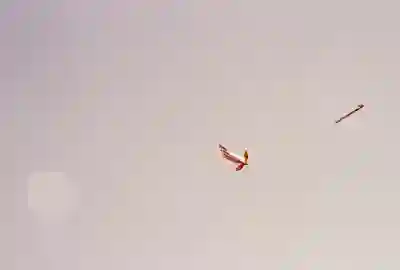 경기 과천시 테슬라 모델3 보조금과 실구매가 알아보자