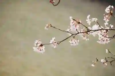 안성시 민생지원금 4차 지급 계획 알아보자