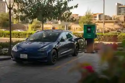 구례군에서 테슬라 모델3 보조금과 실구매가 알아보자