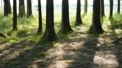 전남 장성군 테슬라 모델3 보조금과 실구매가 알아보자