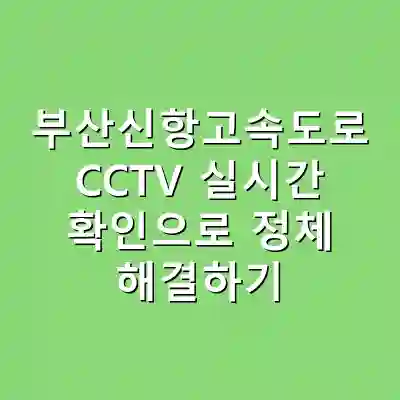 부산신항고속도로 CCTV 실시간 확인으로 정체 해결하기
